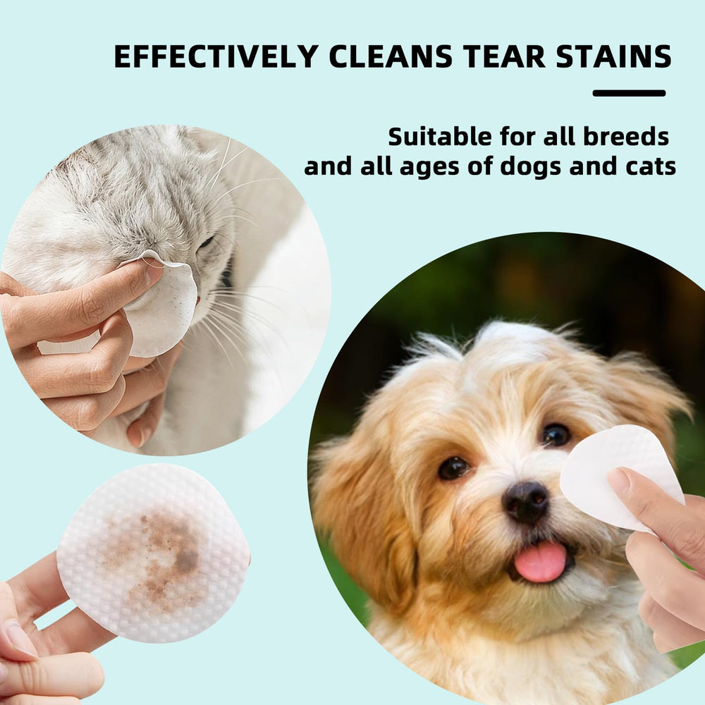 SPRAYVAN utilisation sur chien illustrant un nettoyage doux autour de l'œil et confort immédiat