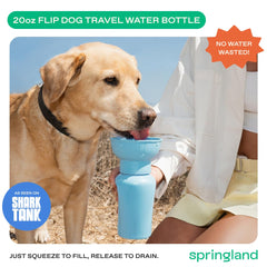 Springland bouteille en usage lors d'une promenade pour hydrater rapidement le chien