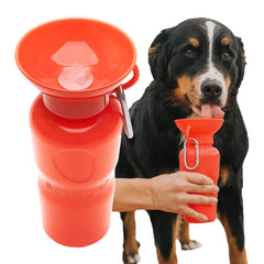 Springland bouteille face avant Poppy, design pratique pour promenades