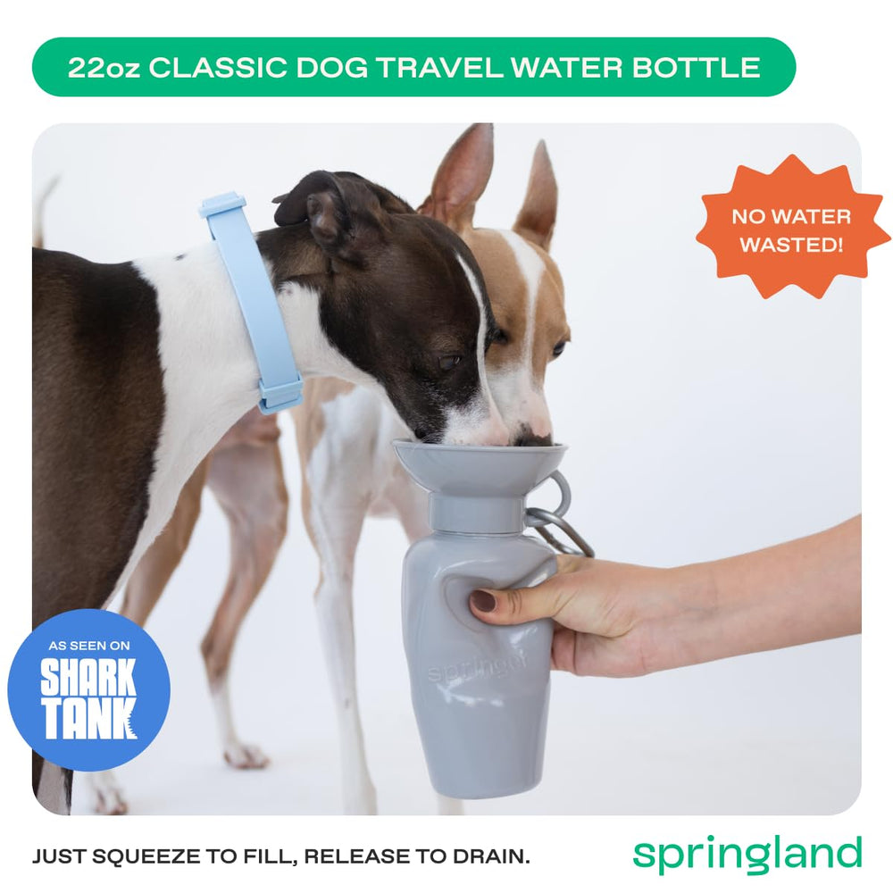Springland bol intégré en gros plan facilitant l’hydratation propre