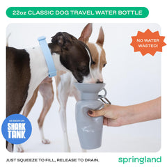 Springland bol intégré en gros plan facilitant l’hydratation propre