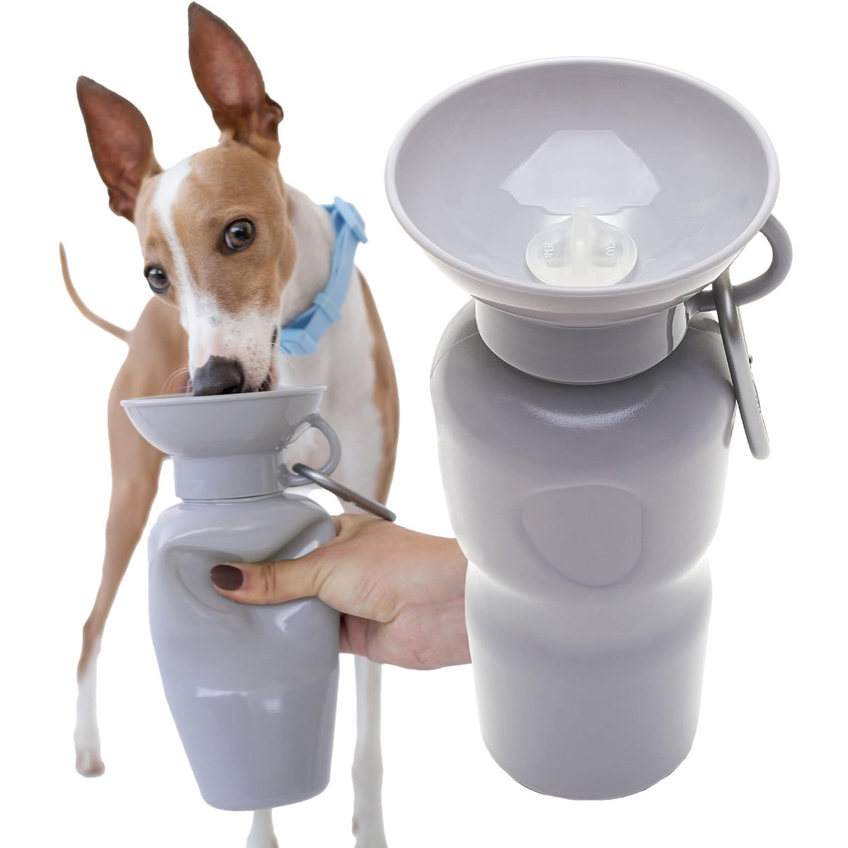 Springland gourde face avant montrant design compact et ergonomie