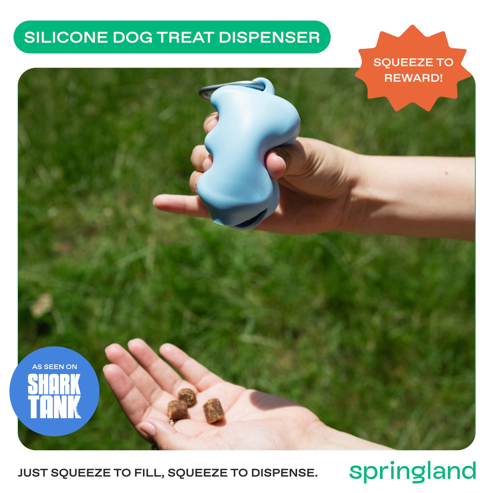 Springland mousqueton solide pour fixation sûre sur laisse ou sac