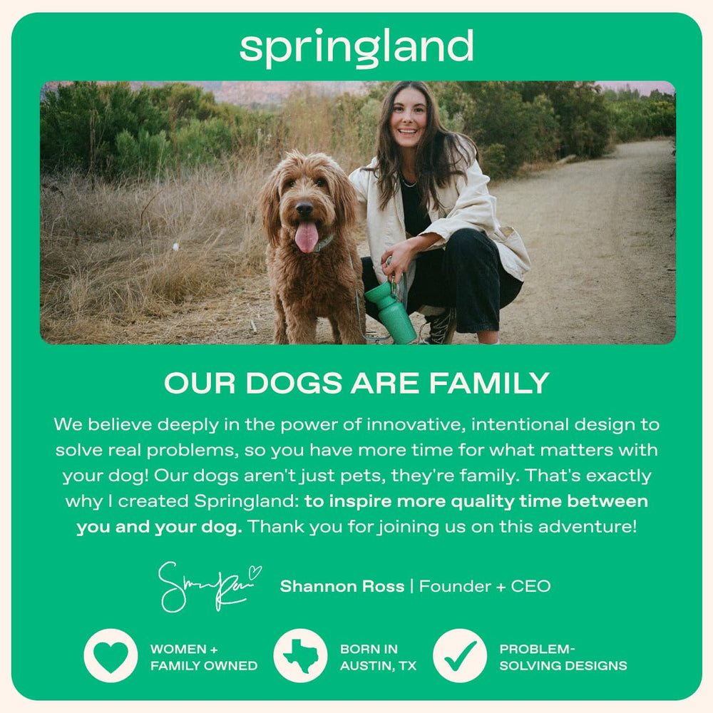 Springland Flip en lave-vaisselle pour nettoyage rapide et hygiénique