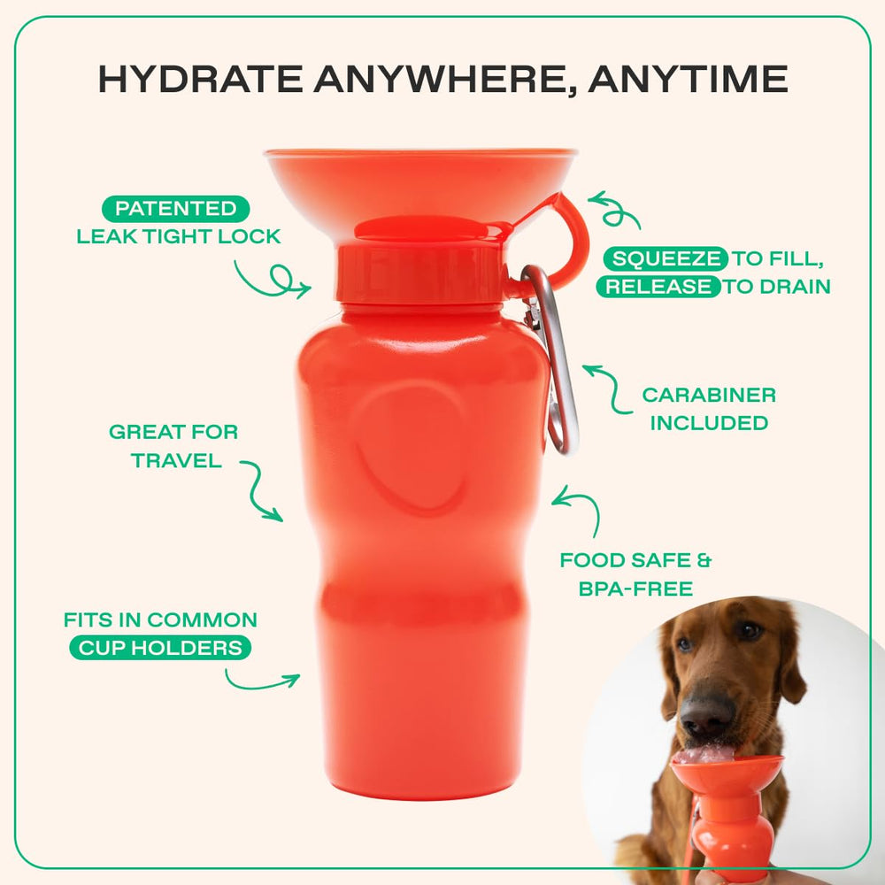 Springland gamelle intégrée remplie, hydratation hygiénique pour chien