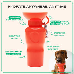 Springland gamelle intégrée remplie, hydratation hygiénique pour chien