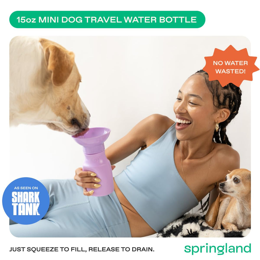 Springland Pets gros plan du bol intégré, facilite boire proprement