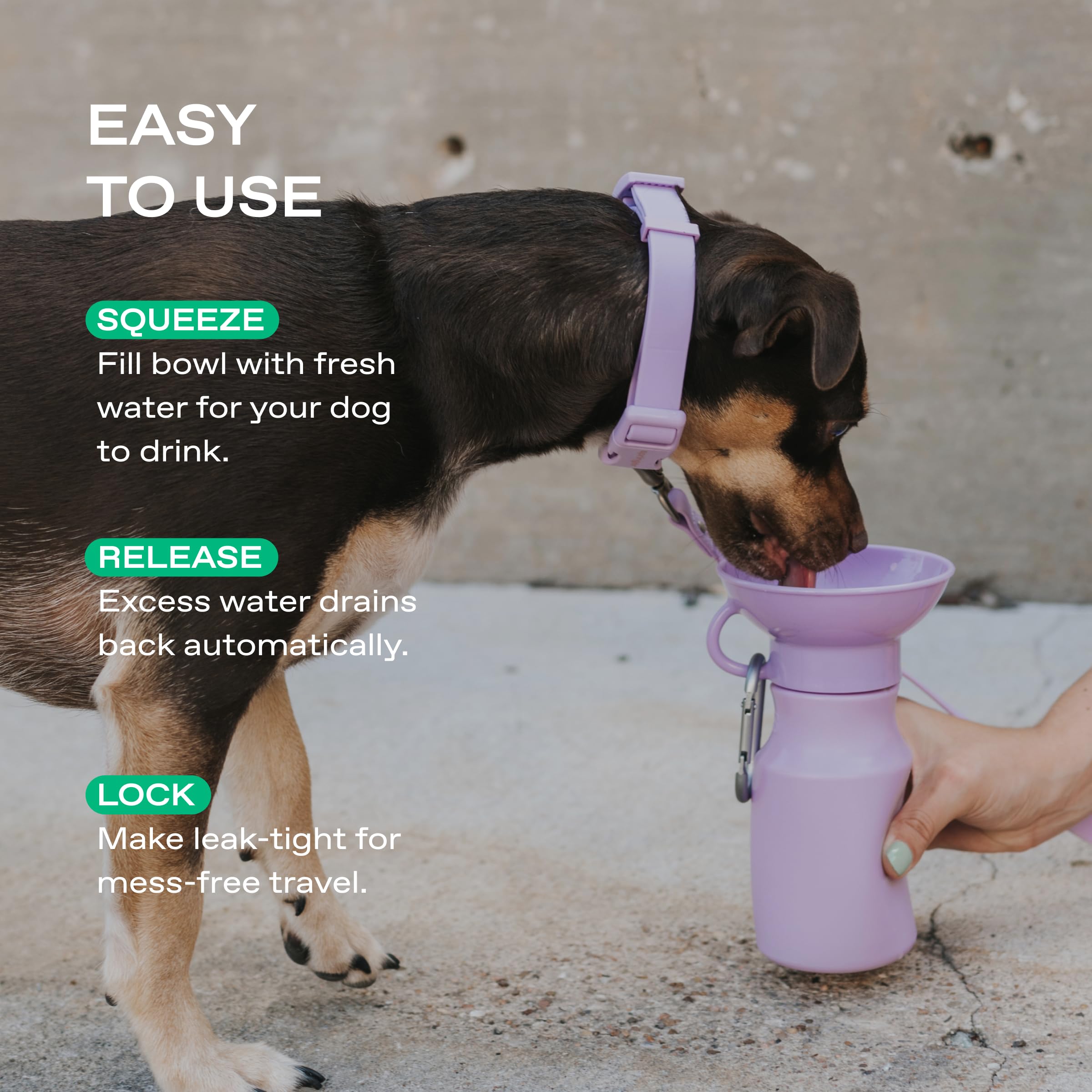 Springland Pets bouchon ouvert montrant versement contrôlé facile