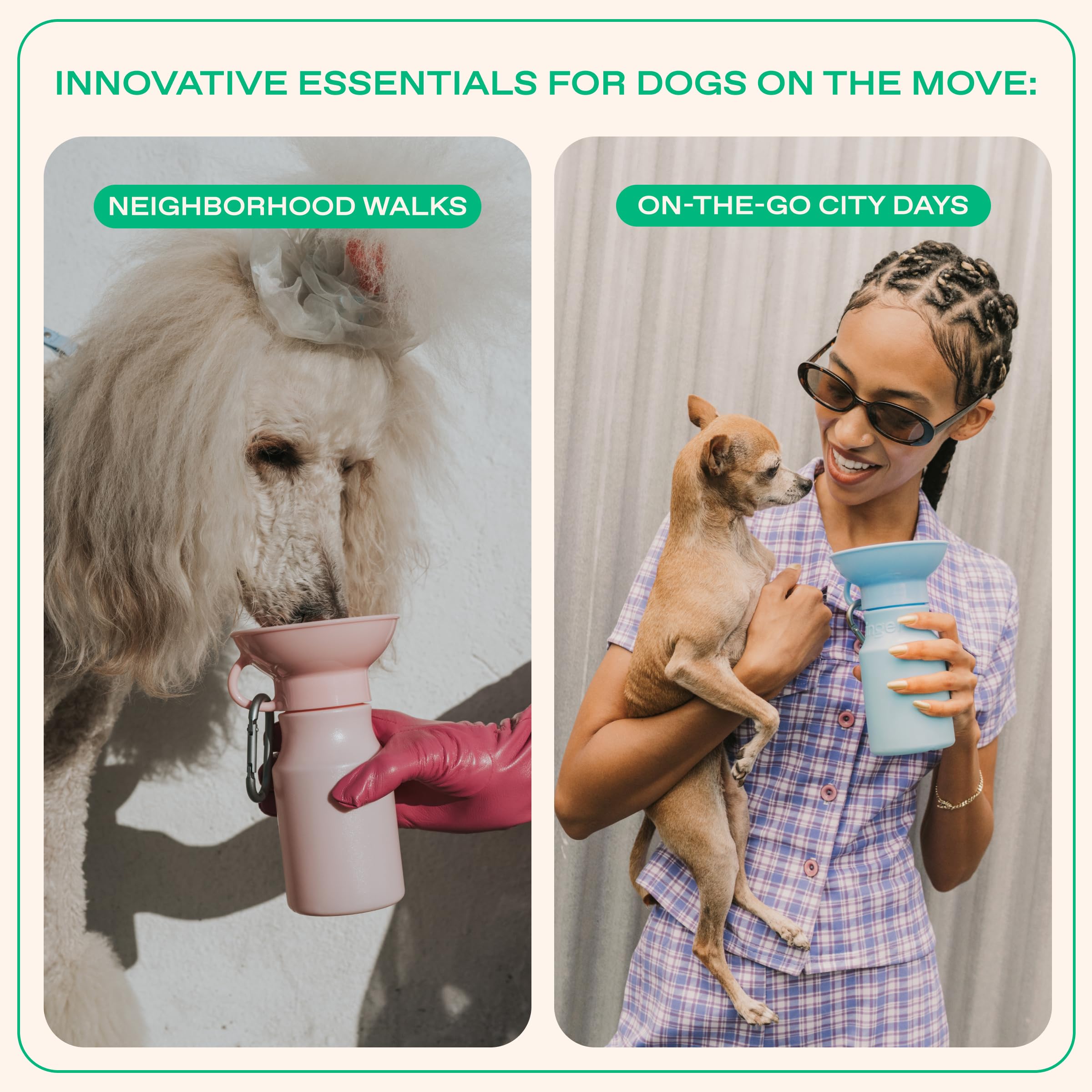 Springland Pets chien buvant au bol intégré, hydration rapide en sortie