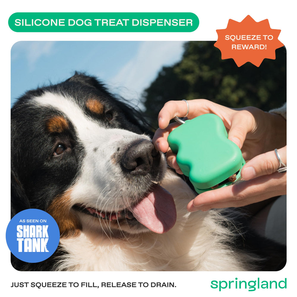 Springland gros plan silicone, bénéfice matériau sécurisé et texturé
