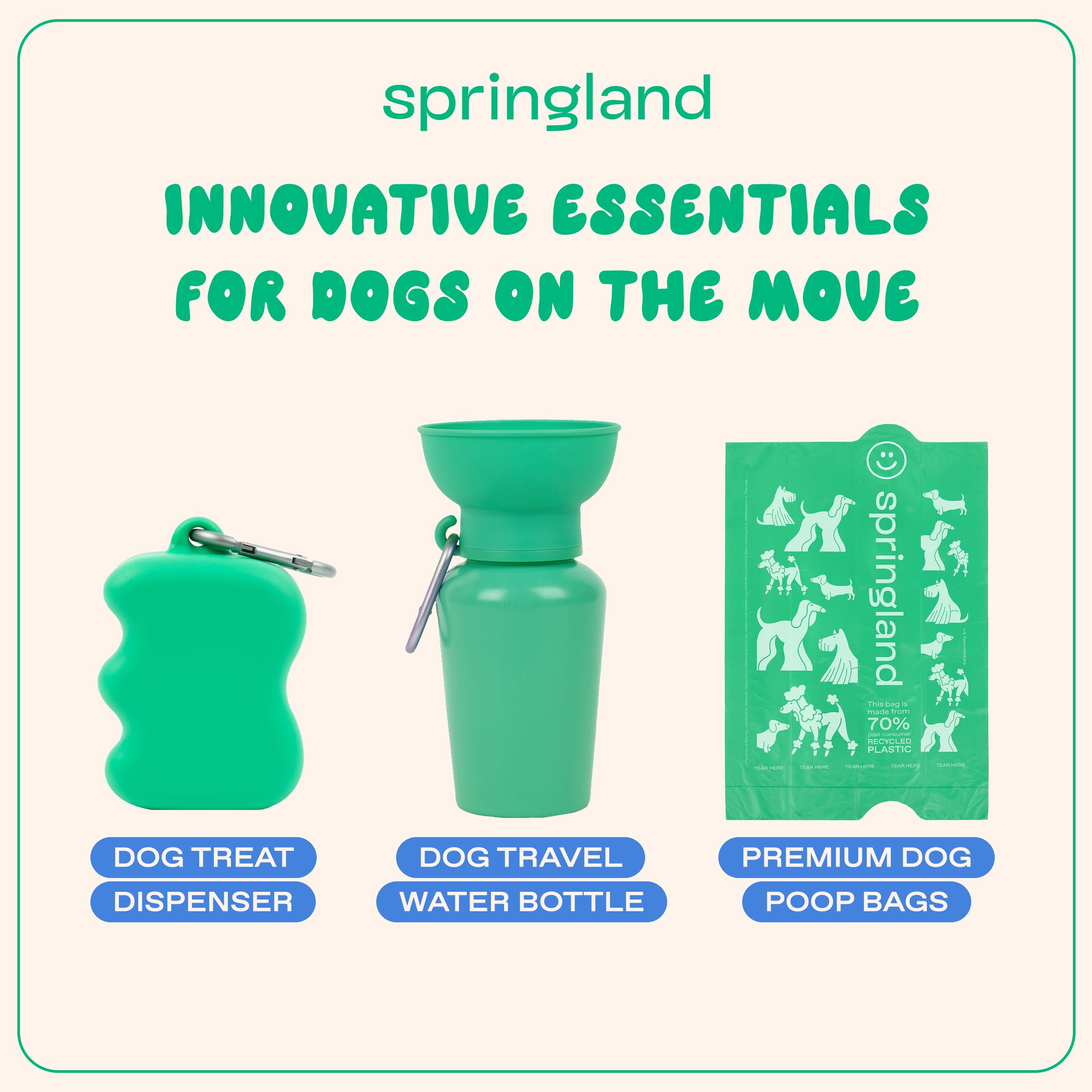 Springland en promenade avec chien, bénéfice récompenses sur le vif