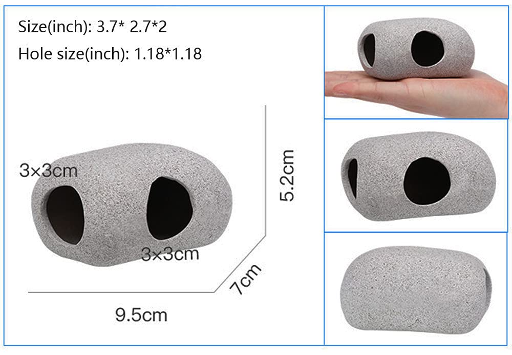 SpringSmart cache installée dans aquarium créant abri et décor naturel attrayant