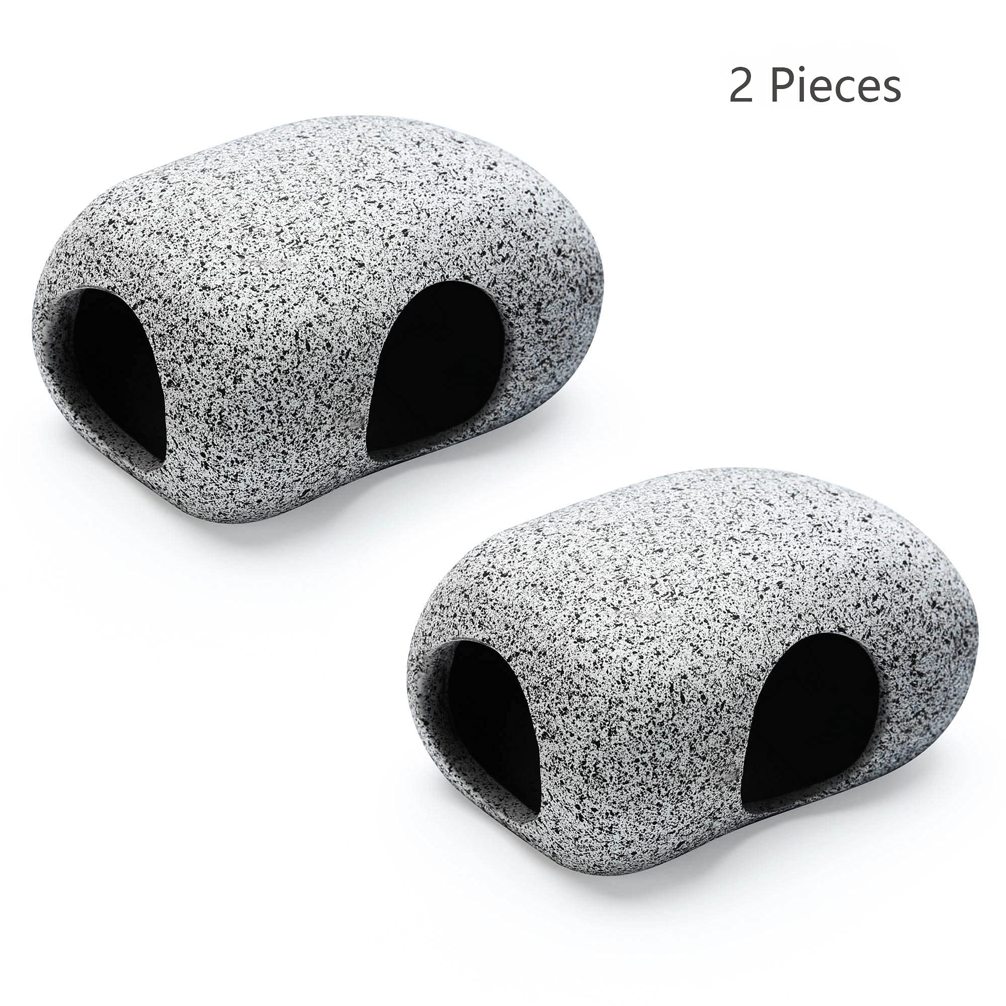 SpringSmart comparaison taille avec un petit poisson pour visualiser échelle pratique