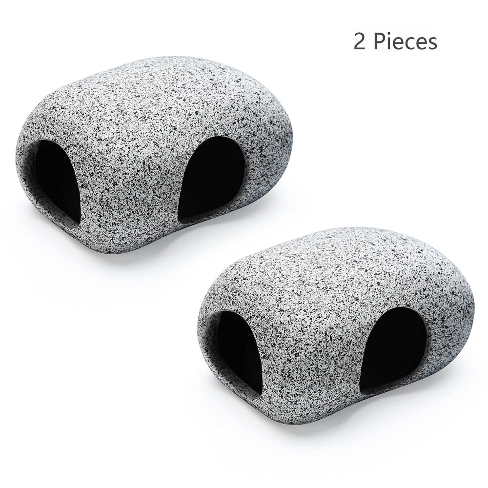 SpringSmart comparaison taille avec un petit poisson pour visualiser échelle pratique