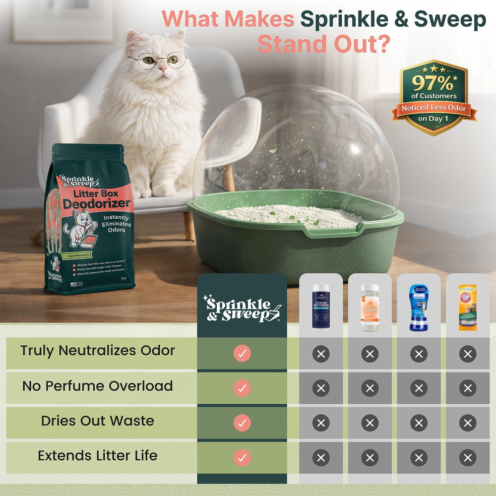 Sprinkle & Sweep et chat dans salon montrant environnement domestique frais