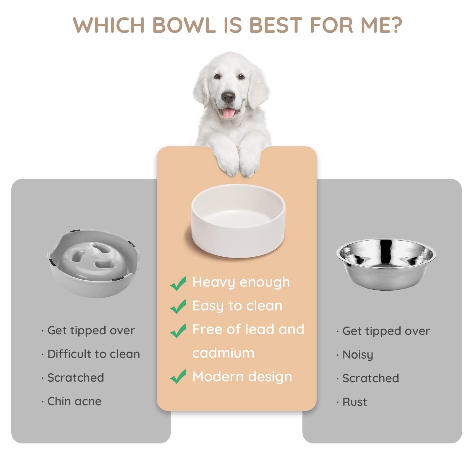 SPUNKYJUNKY bol en usage avec chien buvant pour une stabilité fiable