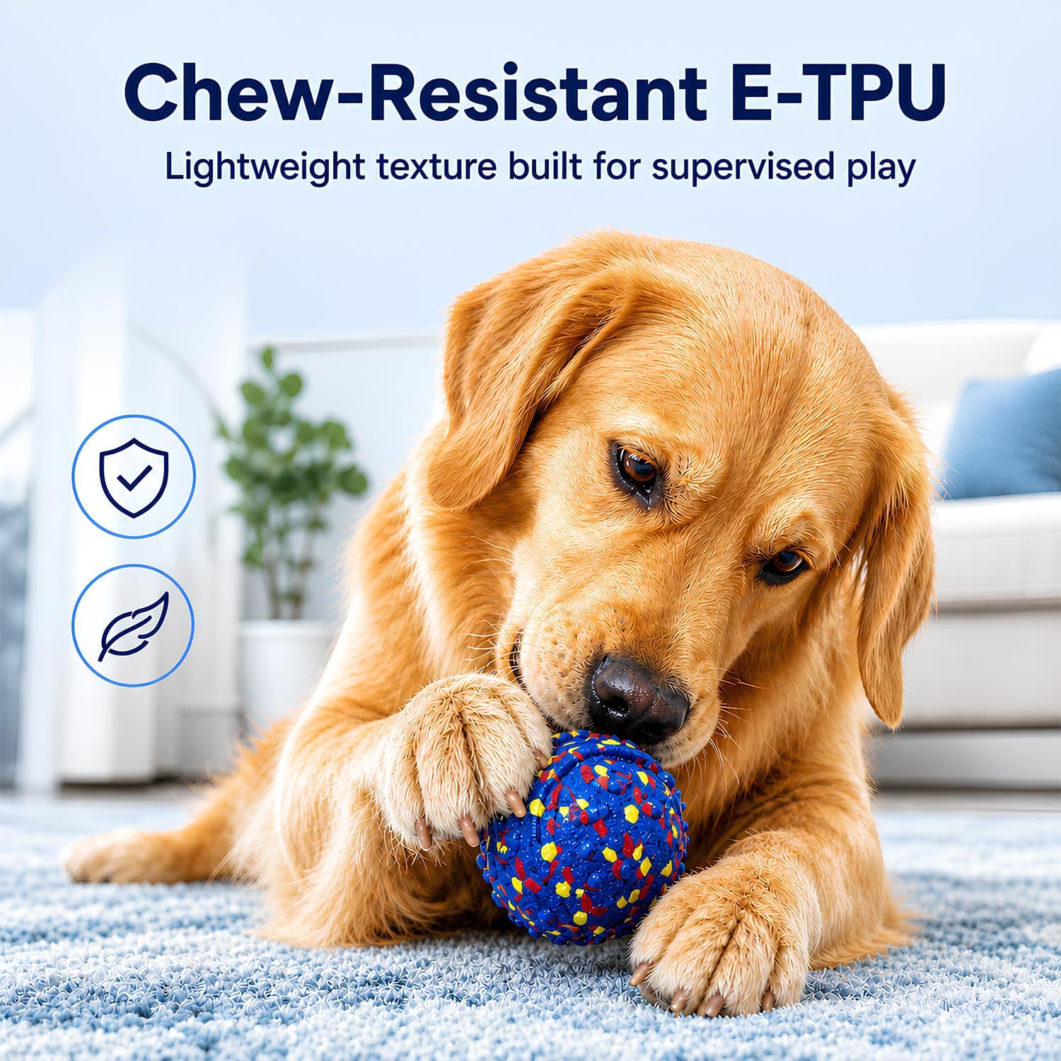 SpyxCam balle en usage avec chien poursuivant, stimule activité et jeu