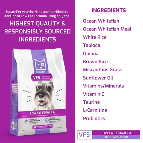 SquarePet portion servie dans un bol pratique pour contrôle calorique