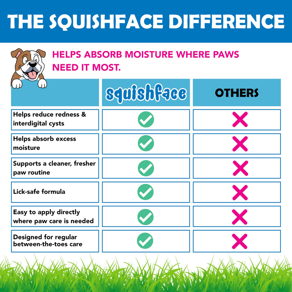 Squishface sur patte de chien en intérieur montrant confort retrouvé