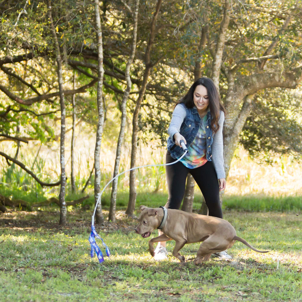 Squishy Face Studio Flirt Pole V2 en action avec chien pour exercice sûr
