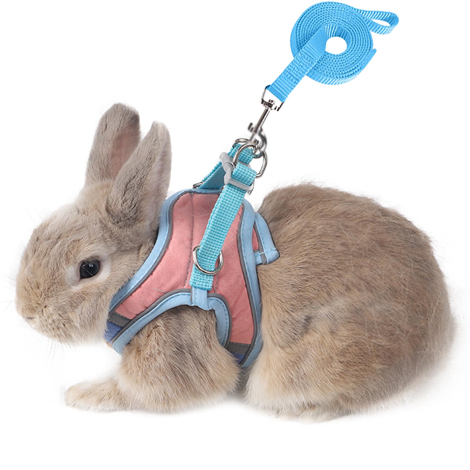 SQUSIMEI harnais lapin face avant montrant coupe et confort