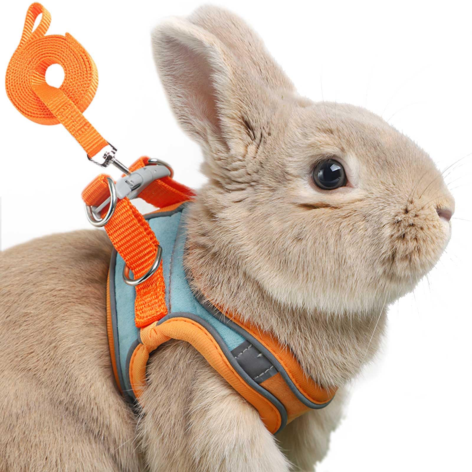 SQUSIMEI harnais lapin face avant montrant coupe et couleur orange pour confort