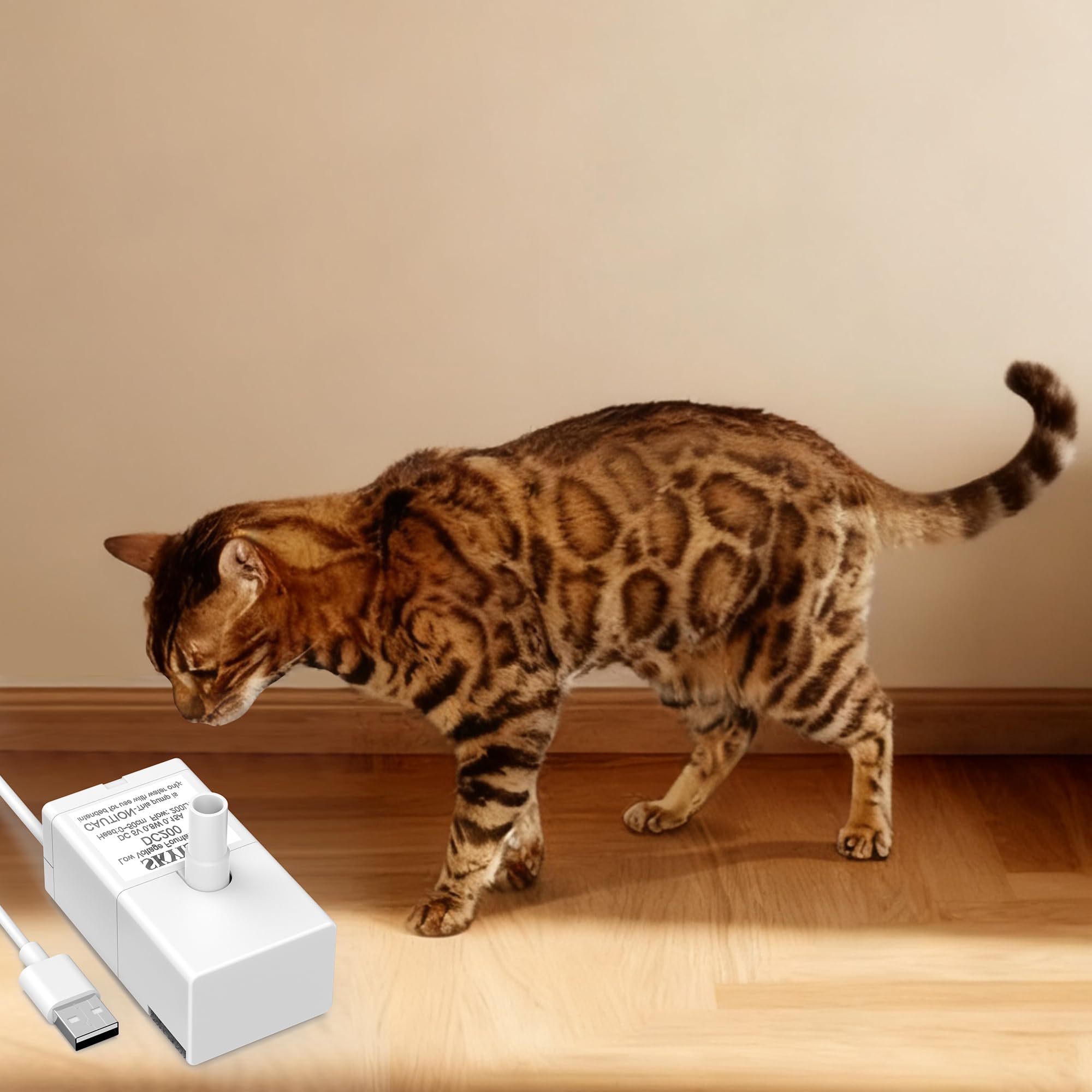 Srnona fontaine avec chat buvant montrant confort et tranquillité