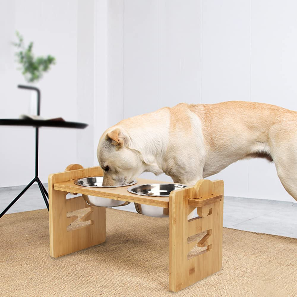 SSAWcasa comparaison taille montrant adaptation chat et chien