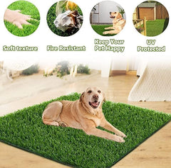 SSRIVER tapis en usage sur balcon avec chiot, pratique pour petits espaces