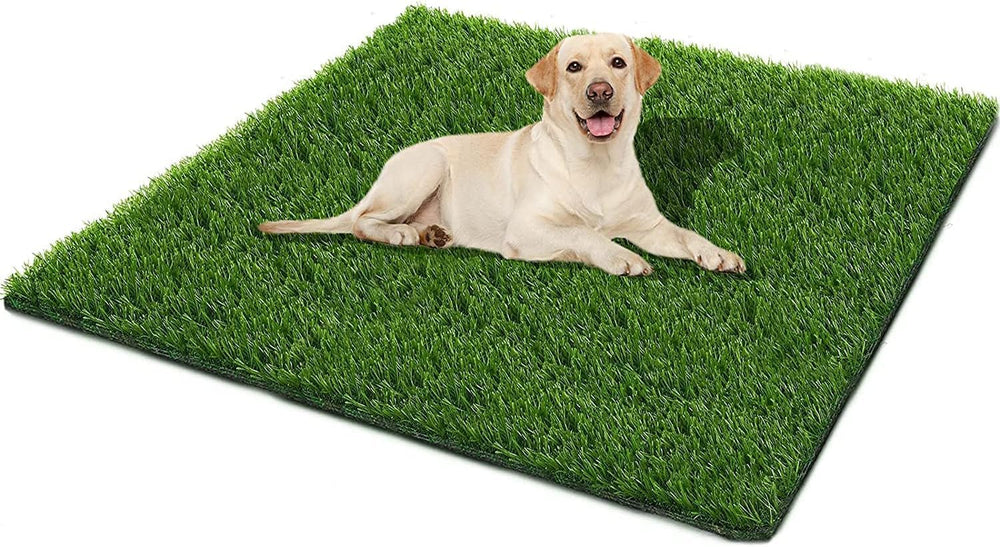 SSRIVER tapis face avant montrant taille et finition, facilite apprentissage propreté