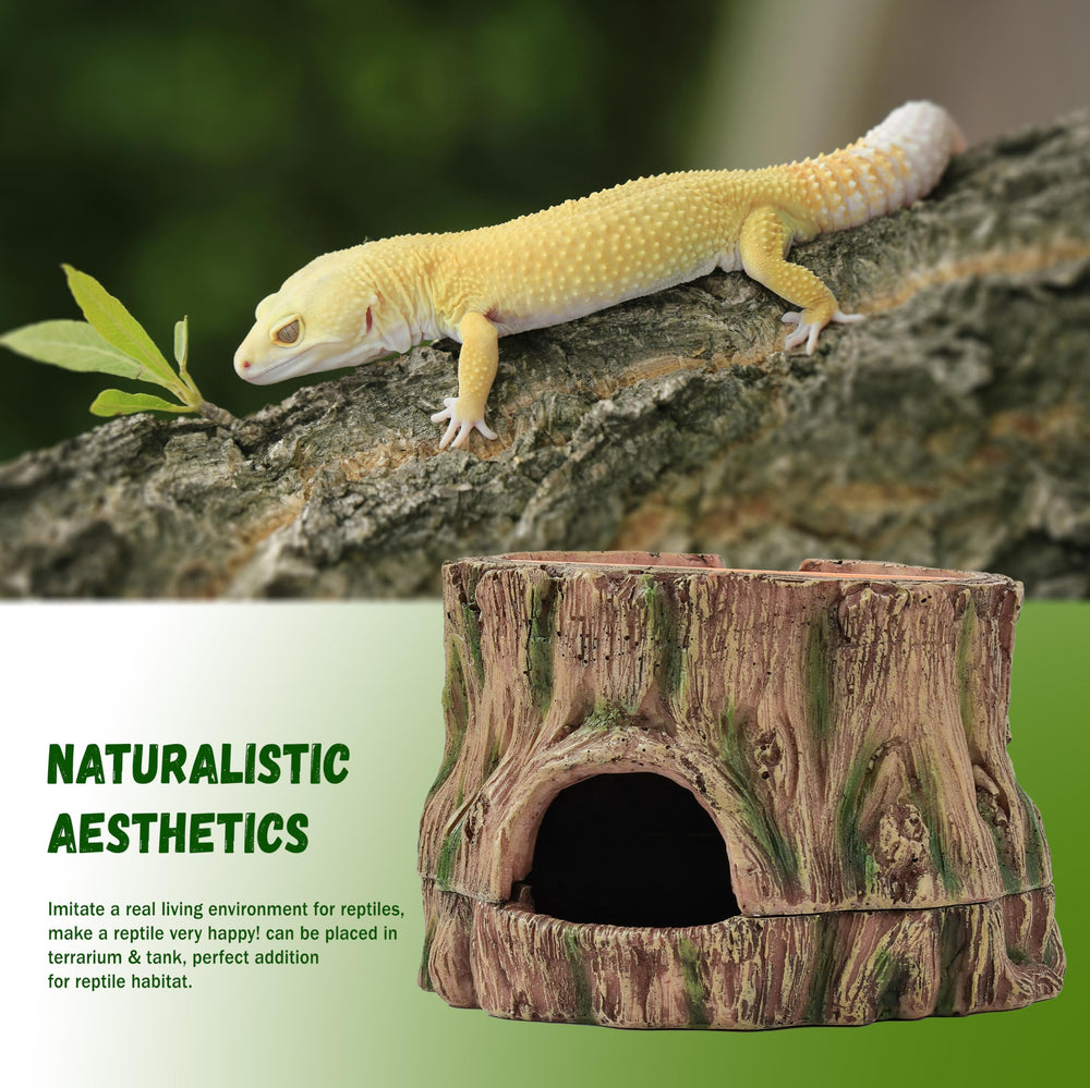 Stackoria abri en usage avec gecko léopard offrant refuge naturel