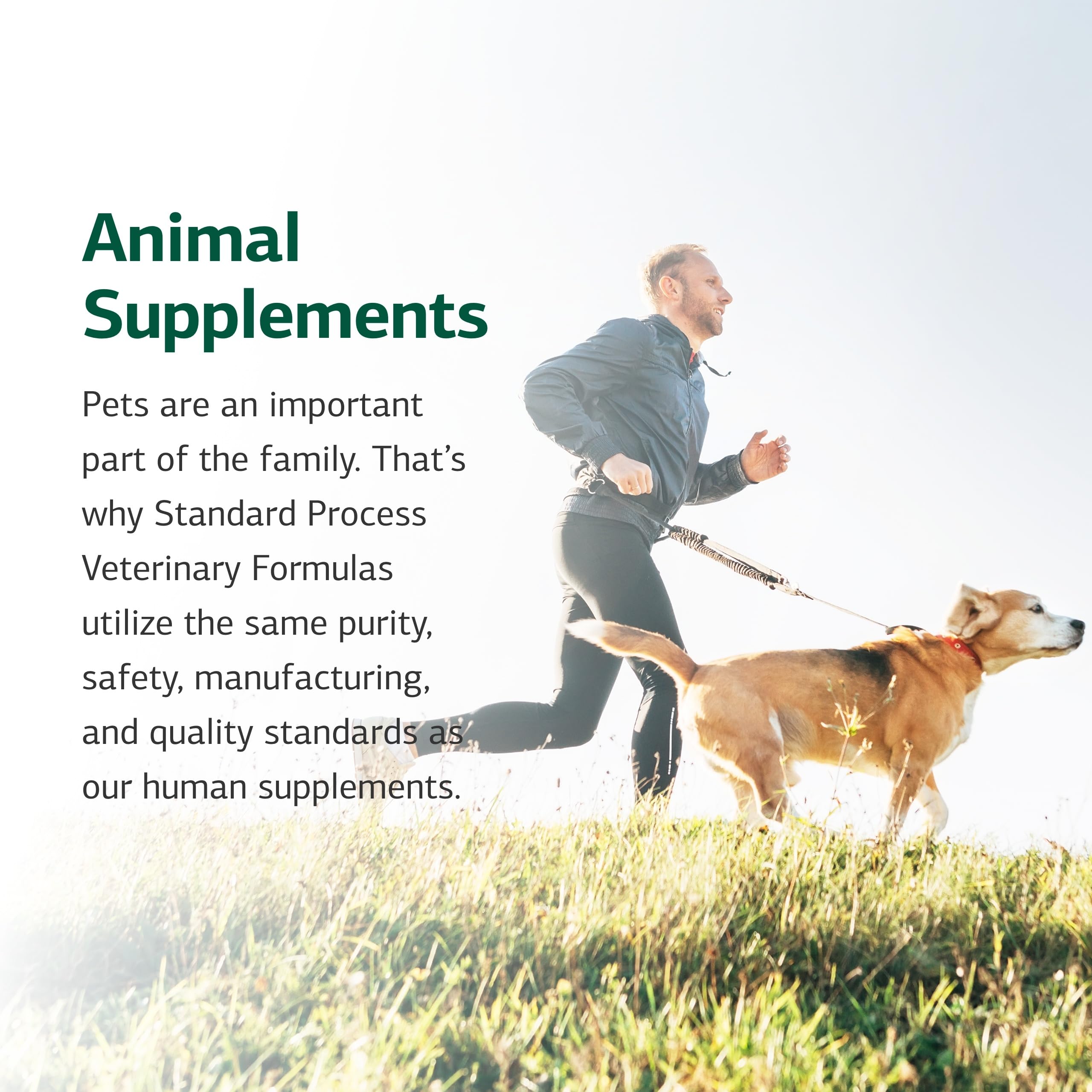 Standard Process pot 25 g comparé à une pièce, visibilité taille pratique