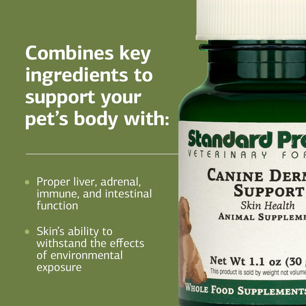 Standard Process dosettes Canine Dermal Support avec cuillère pour dosage précis
