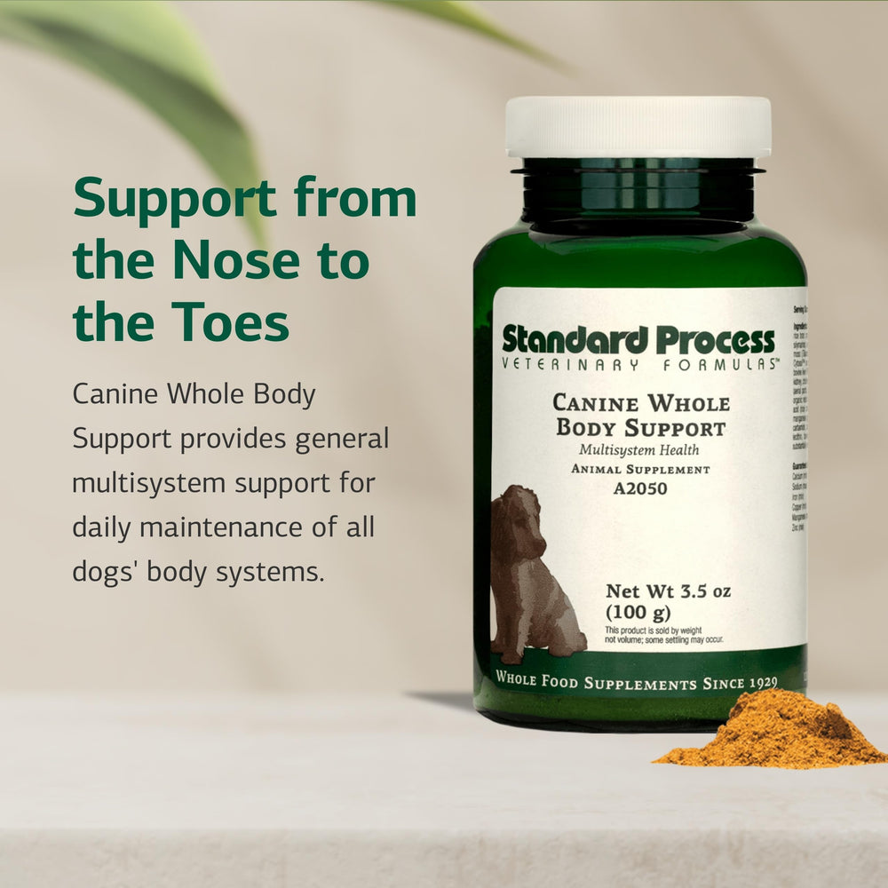 Standard Process poudre dans un bol prête à mélanger bénéfice enrichissement repas