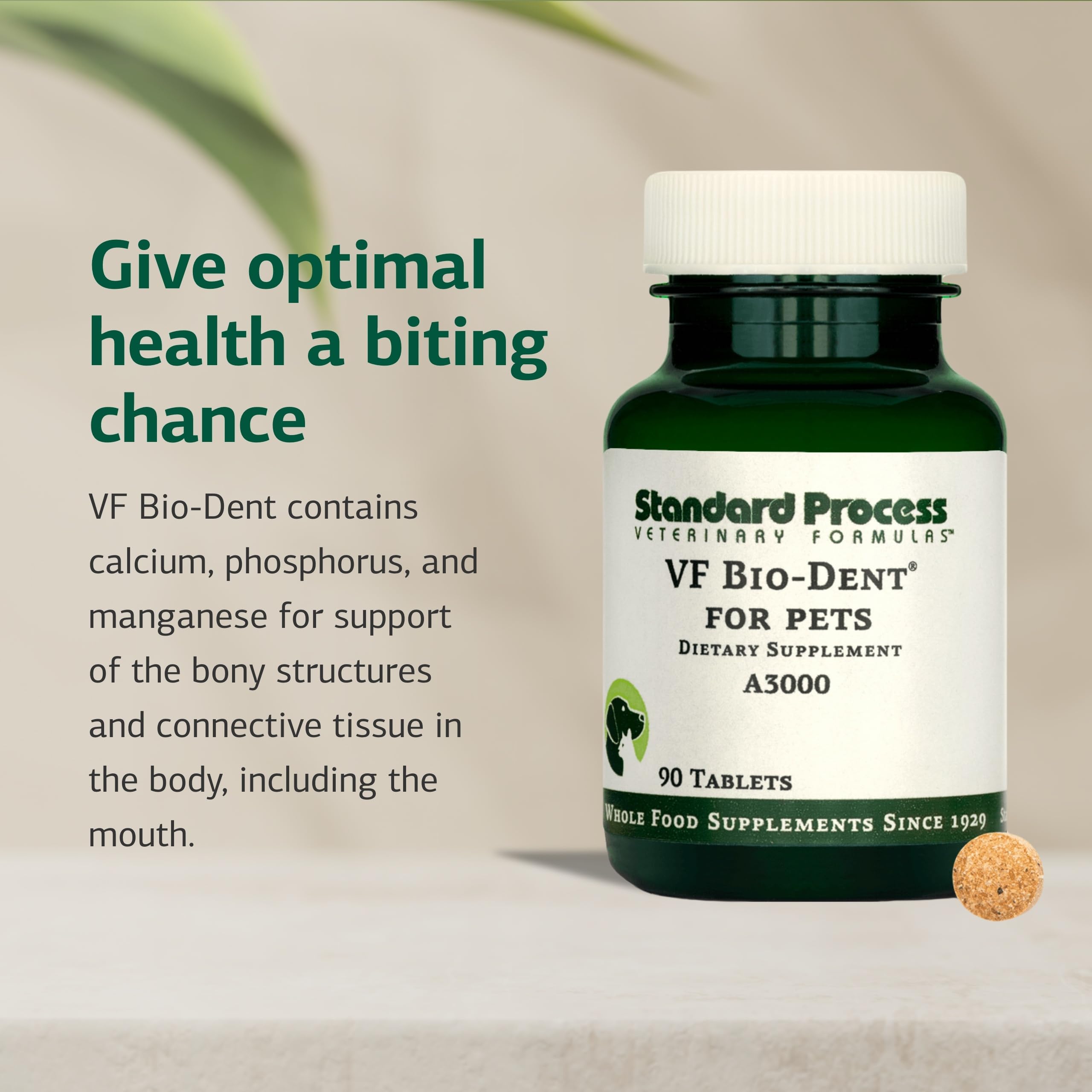 Étiquette Standard Process VF Bio-Dent lisible indiquant ingrédients et avantages