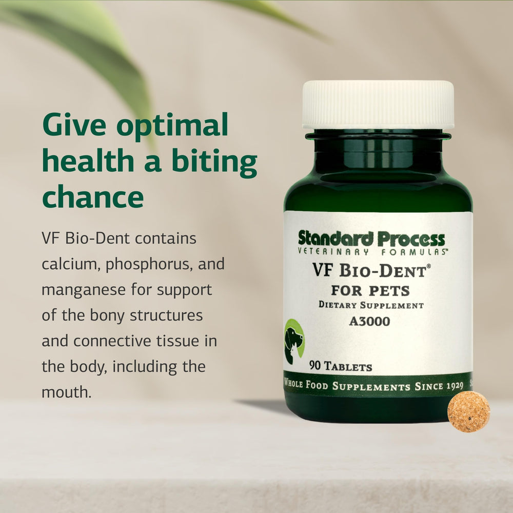 Étiquette Standard Process VF Bio-Dent lisible indiquant ingrédients et avantages