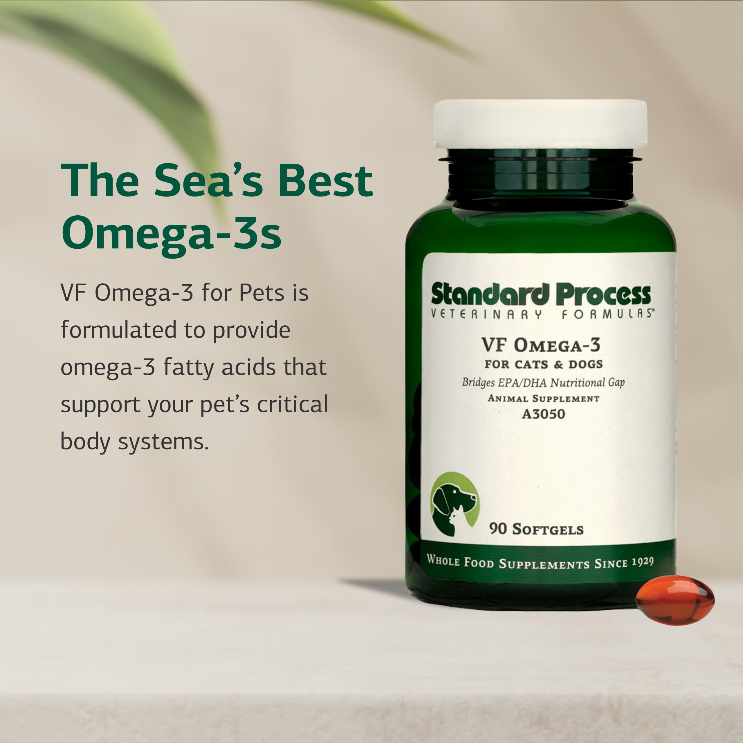Softgel VF Omega-3 dans la main pour comparer taille, aide au dosage pour animaux