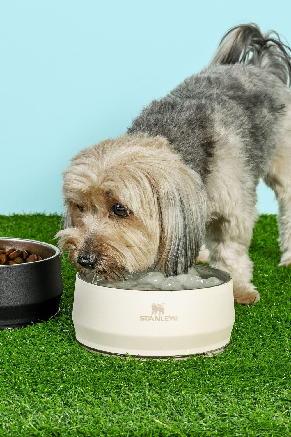 STANLEY bol à l’échelle montrant capacité 24 oz pratique