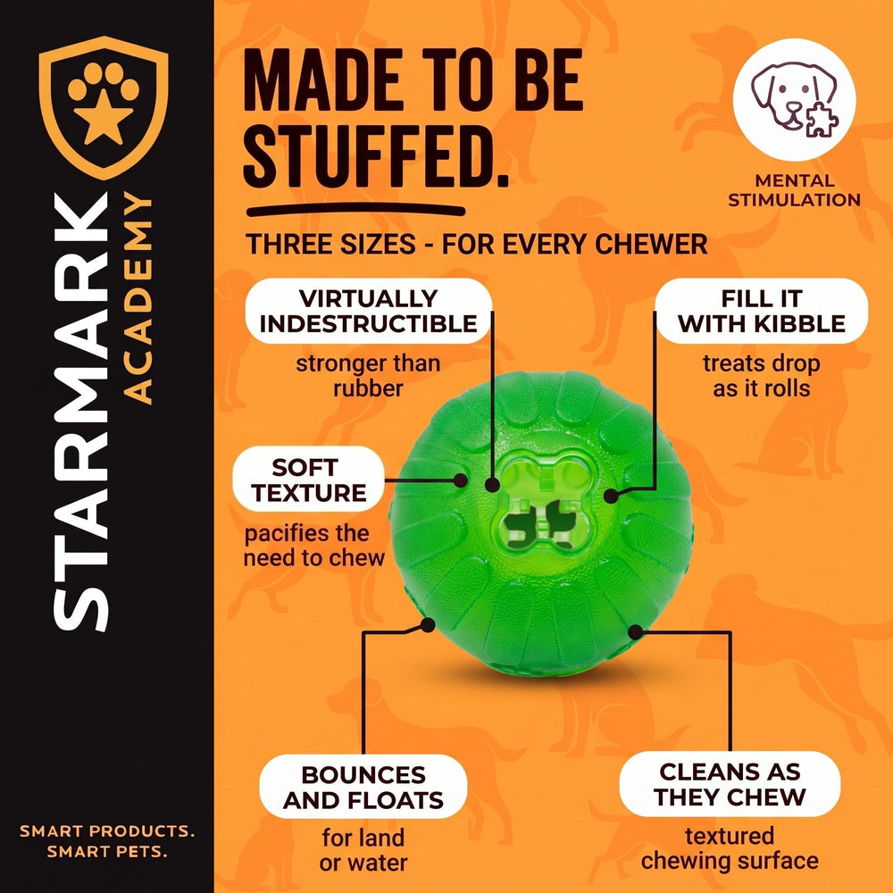 Starmark balle parmi jouets illustrant polyvalence et occupation