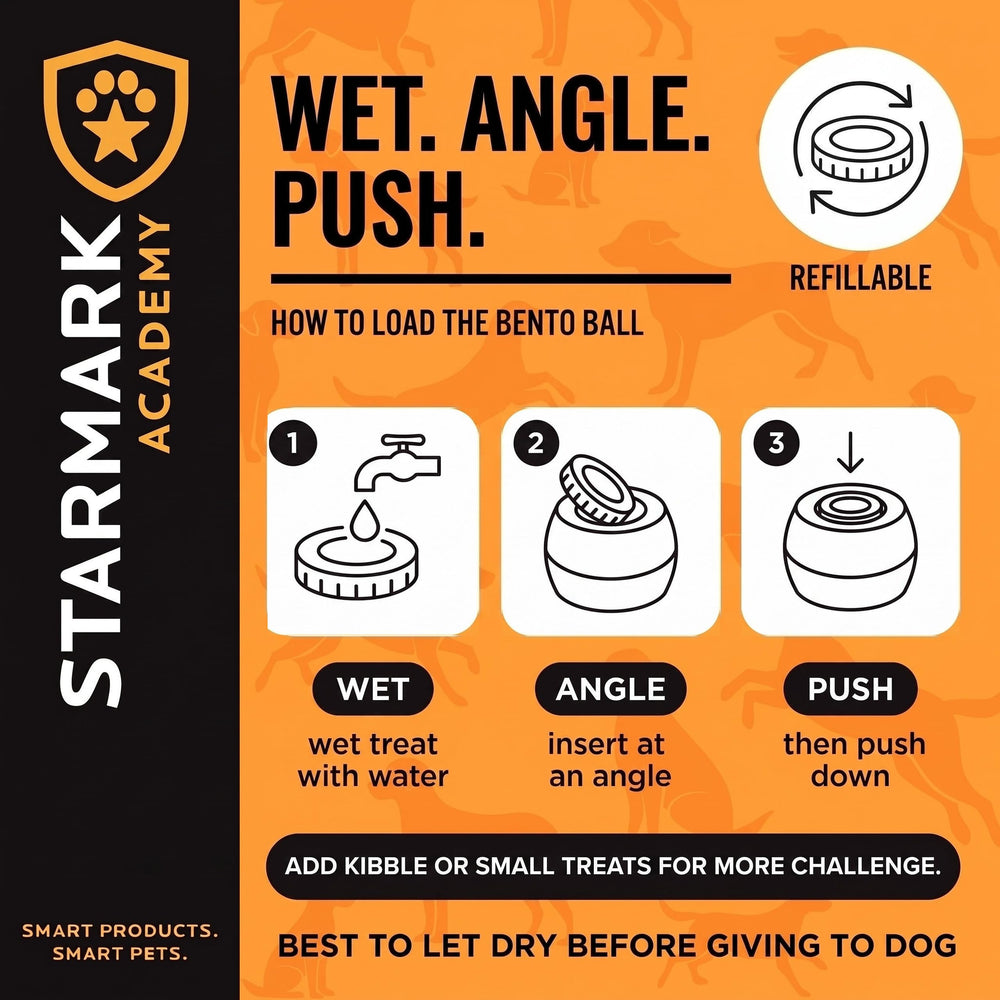 Starmark insertion d'Everlasting Treat montrant usage facile et récompense