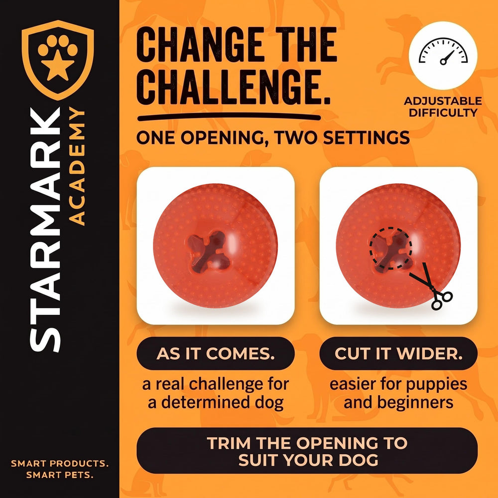 Starmark bento ball posé à côté d'une règle pour comparaison taille