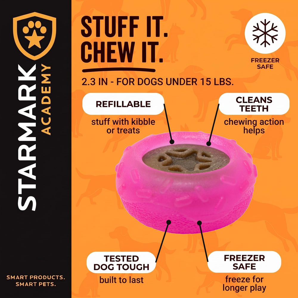 Petit chien jouant avec Starmark Donut pour stimulation mentale active