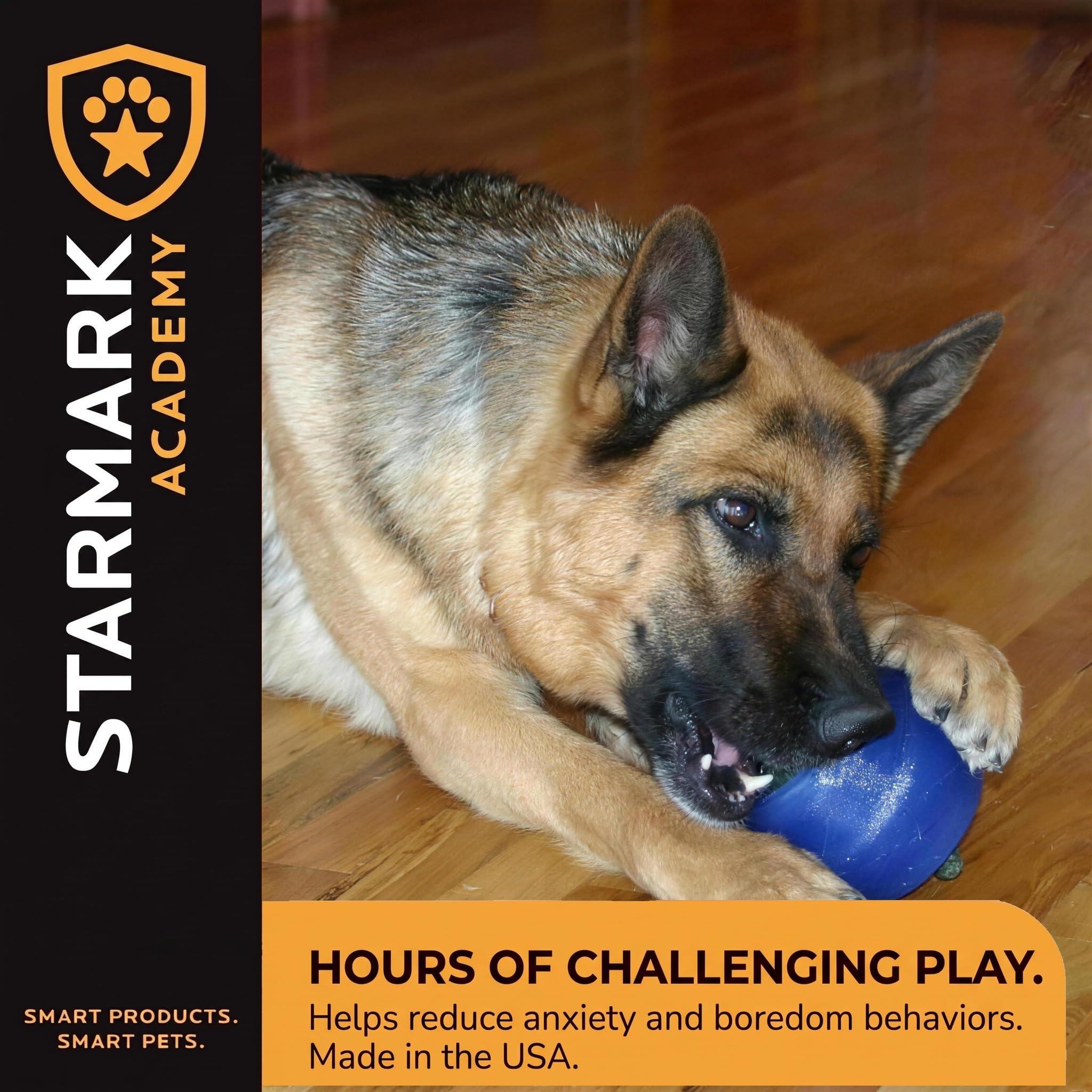Starmark scène de salon montrant jouet qui réduit ennui et anxiété