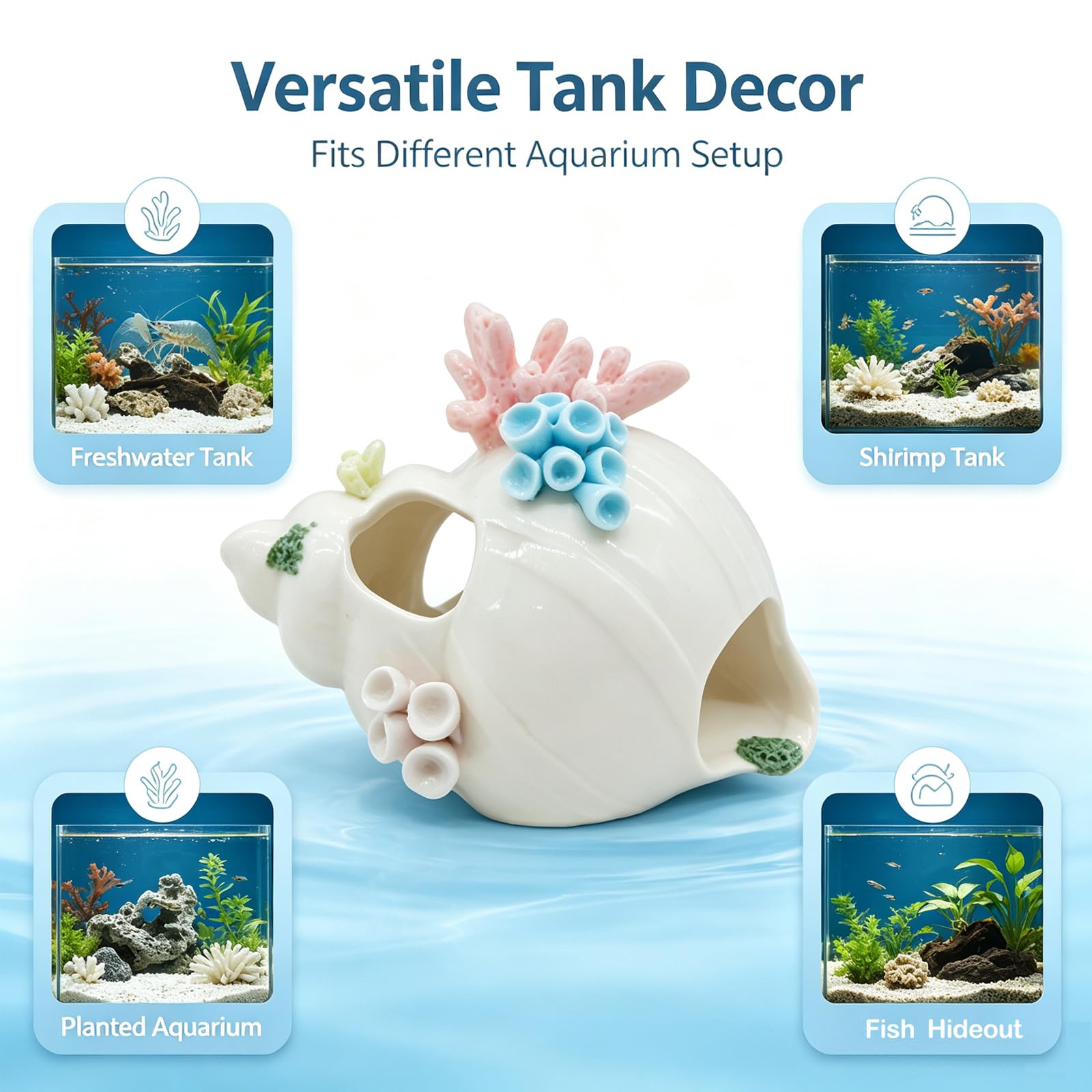 Starryfill conque utilisée par crevettes offrant cachette sûre