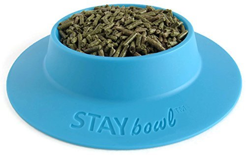 STAYbowl bol en usage avec cochons d'Inde limitant le gaspillage alimentaire