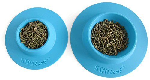 STAYbowl gros plan bord du bol indiquant surface lisse et nettoyage facile