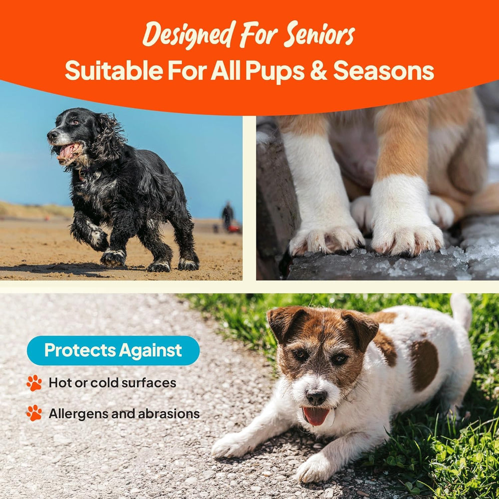 Steady Paws pot posé sur trottoir montrant protection contre surfaces extérieures
