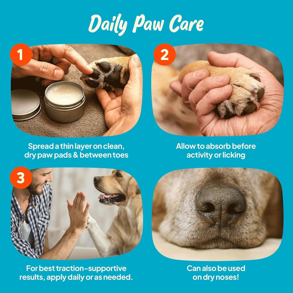 Steady Paws chien marchant confiant après application offrant meilleur grip