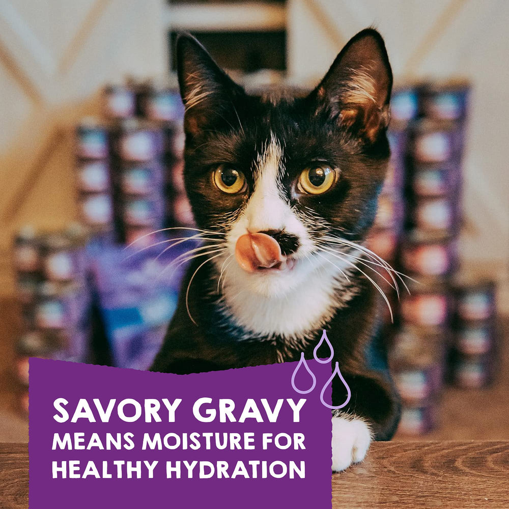 Stella & Chewy's bouillon brillant dans le sachet, favorise hydratation du chat