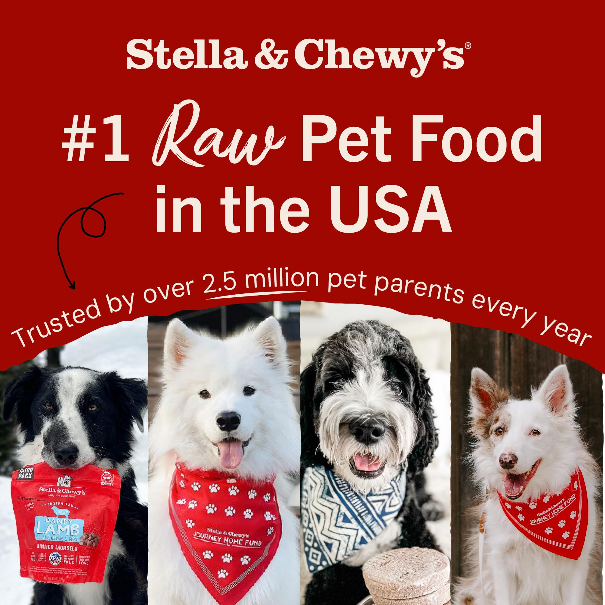 Stella & Chewy's ingrédients bœuf et œufs présentés, souligne sources protéiques